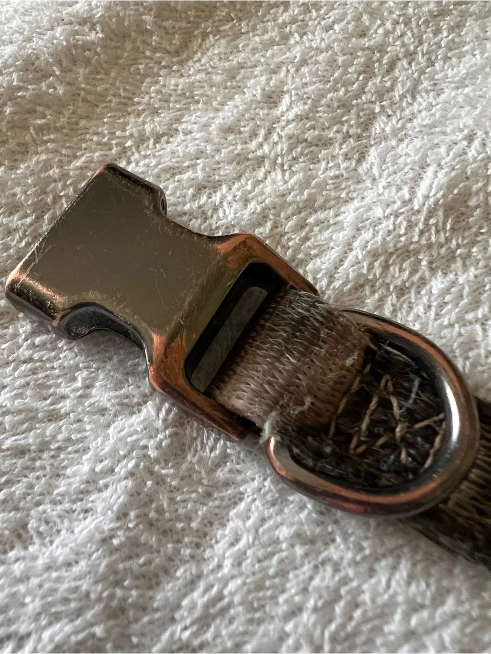 Vibrant Life Camo Dog Collar-sanitized
